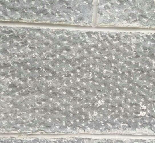 1686126782223217.jpg 1686126782223217.jpg